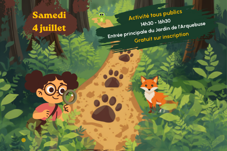 Affiche sur les traces des animaux (2)
